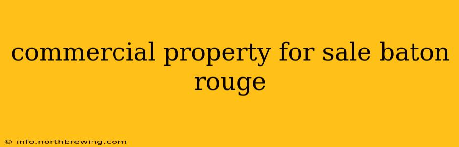 commercial property for sale baton rouge