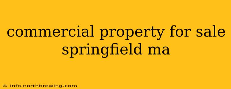 commercial property for sale springfield ma