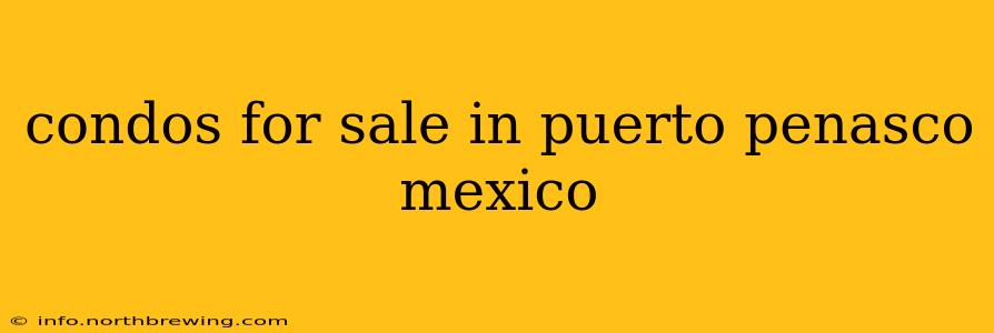 condos for sale in puerto penasco mexico