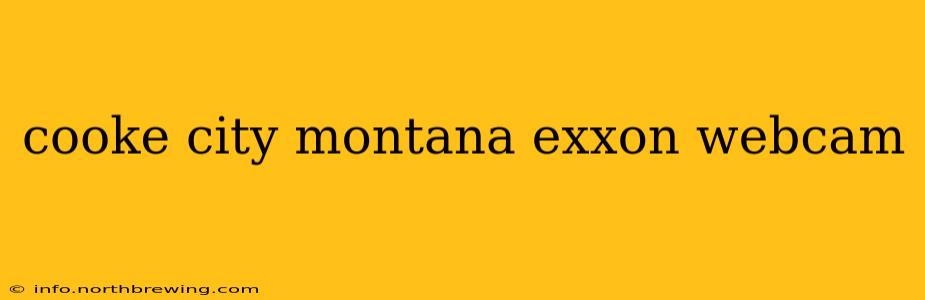 cooke city montana exxon webcam