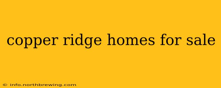 copper ridge homes for sale