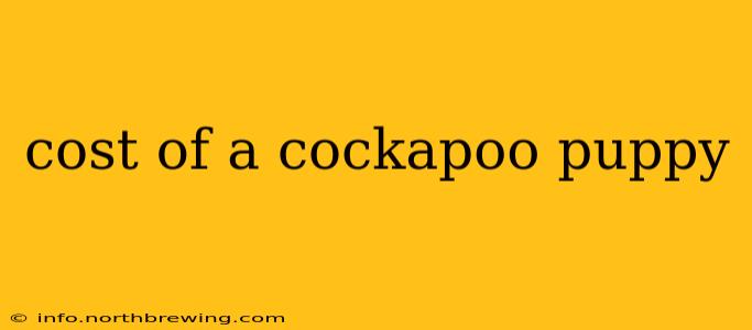 cost of a cockapoo puppy