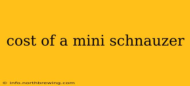 cost of a mini schnauzer