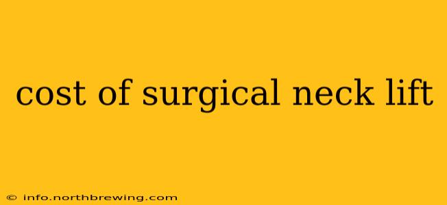 cost of surgical neck lift