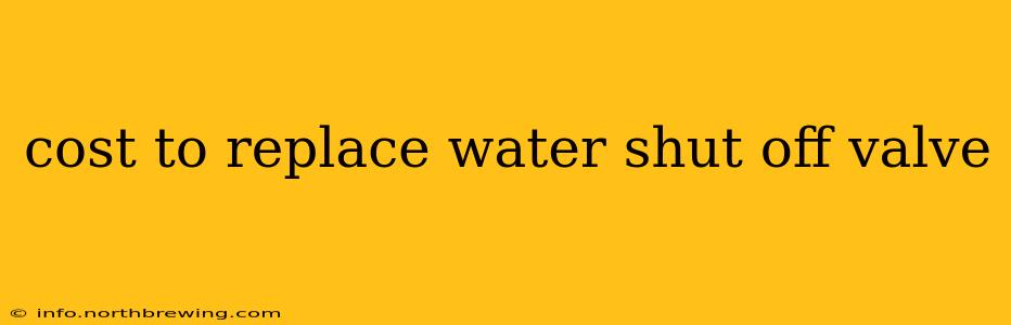 cost to replace water shut off valve