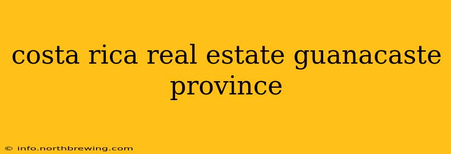 costa rica real estate guanacaste province