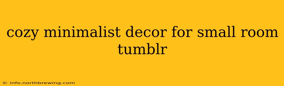 cozy minimalist decor for small room tumblr