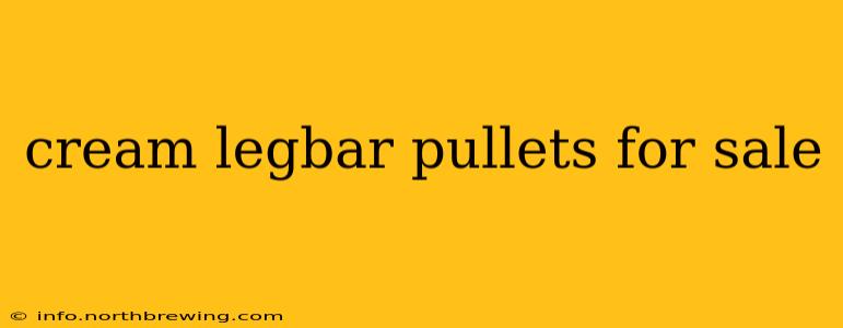 cream legbar pullets for sale