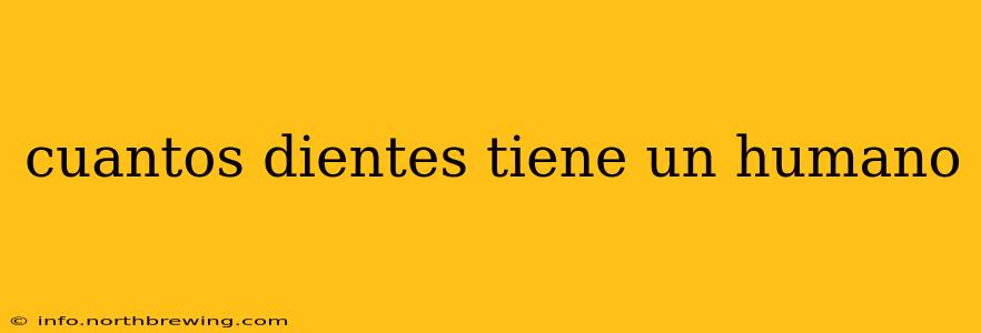 cuantos dientes tiene un humano