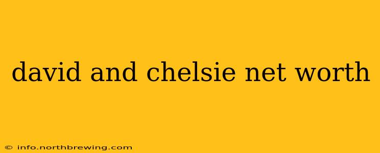 david and chelsie net worth