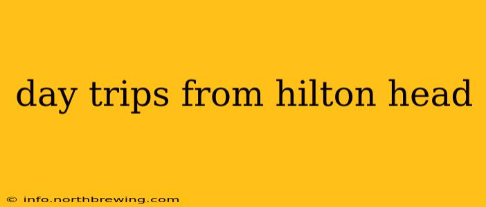 day trips from hilton head