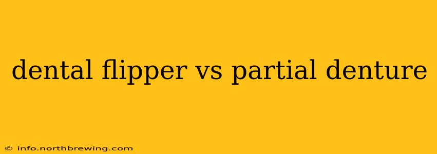 dental flipper vs partial denture