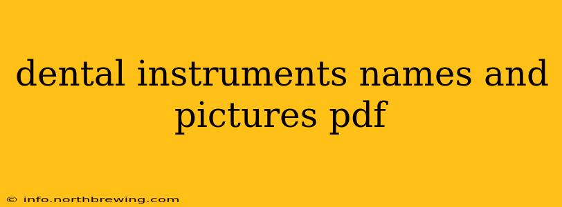 dental instruments names and pictures pdf