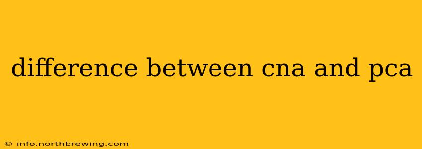 difference between cna and pca