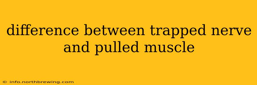 difference between trapped nerve and pulled muscle