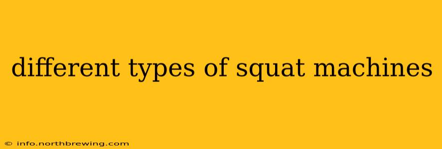 different types of squat machines