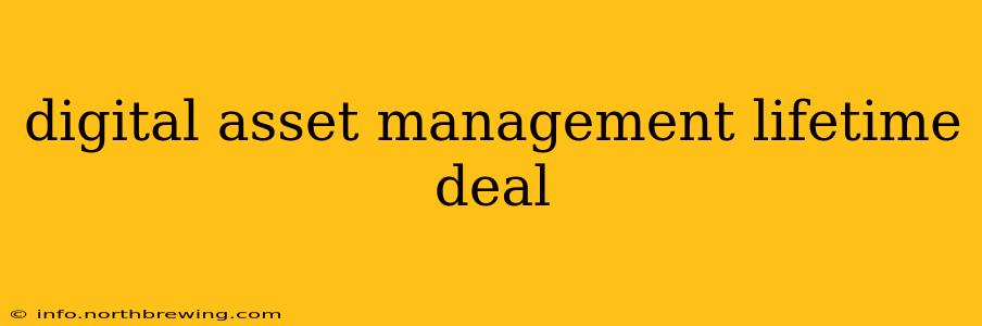 digital asset management lifetime deal