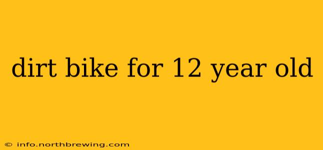 dirt bike for 12 year old