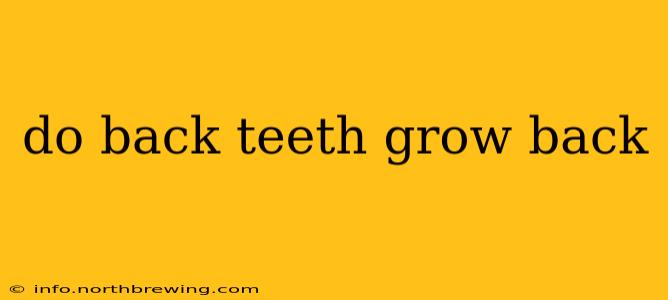 do back teeth grow back