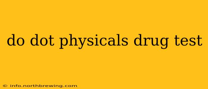 do dot physicals drug test