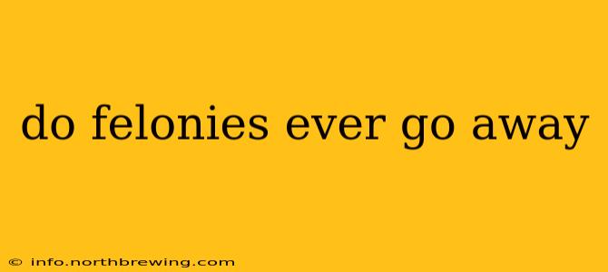 do felonies ever go away