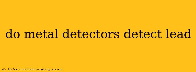do metal detectors detect lead