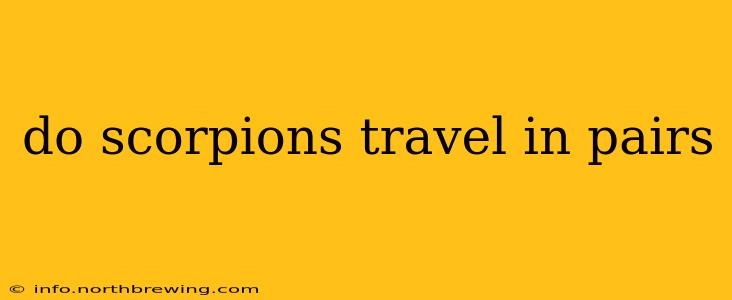 do scorpions travel in pairs