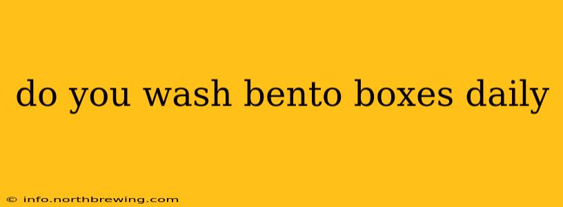 do you wash bento boxes daily