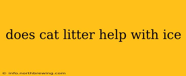 does cat litter help with ice