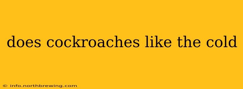 does cockroaches like the cold