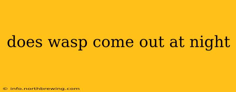 does wasp come out at night