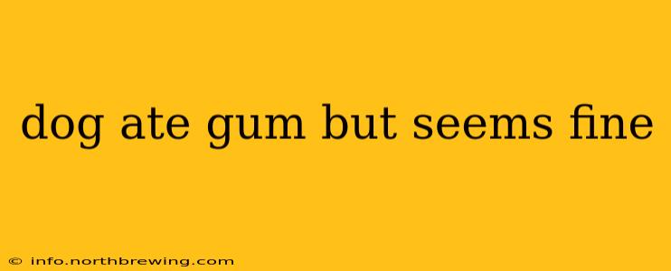 dog ate gum but seems fine
