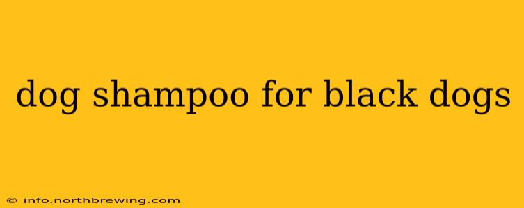 dog shampoo for black dogs