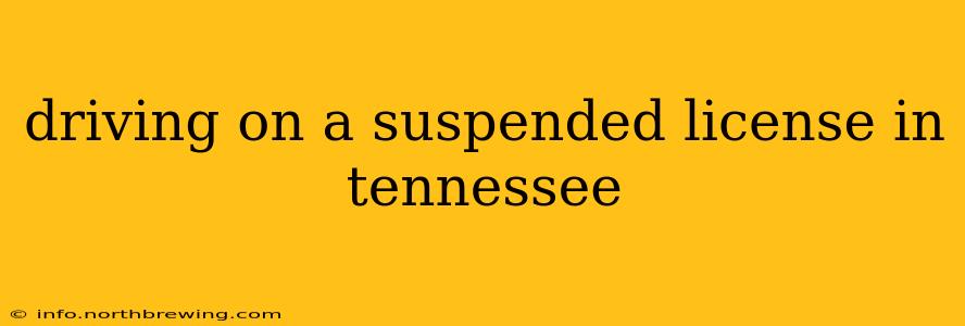 driving on a suspended license in tennessee