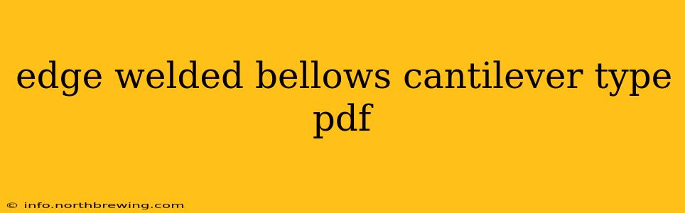 edge welded bellows cantilever type pdf