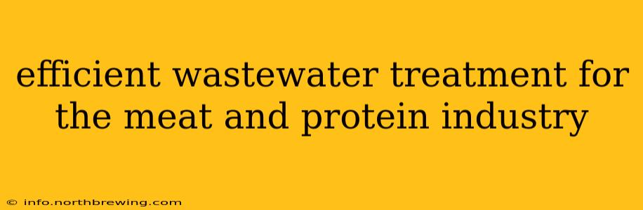 efficient wastewater treatment for the meat and protein industry