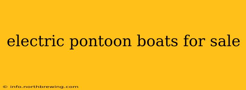 electric pontoon boats for sale