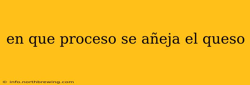 en que proceso se añeja el queso