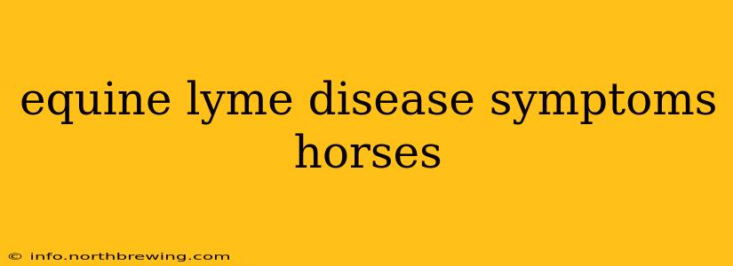 equine lyme disease symptoms horses