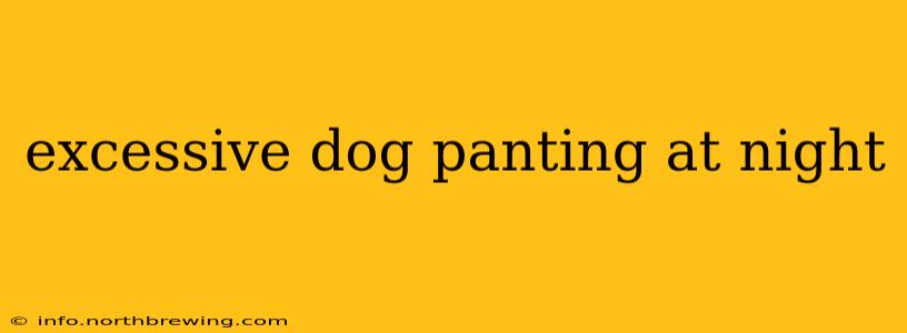 excessive dog panting at night