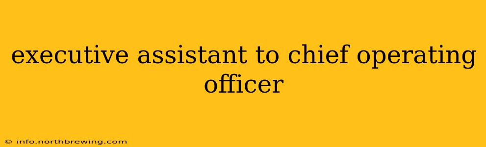 executive assistant to chief operating officer