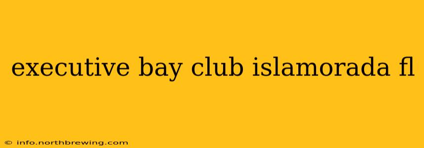 executive bay club islamorada fl