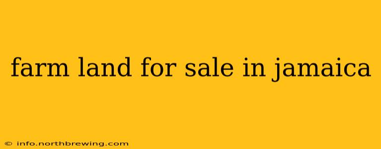 farm land for sale in jamaica