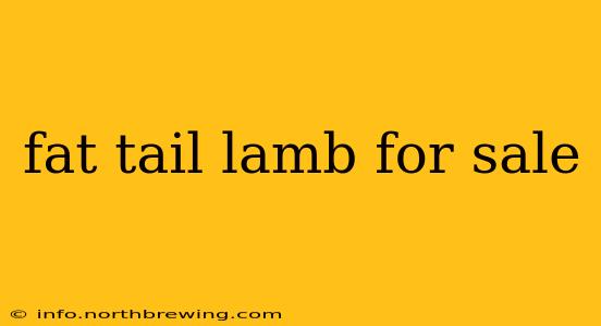 fat tail lamb for sale