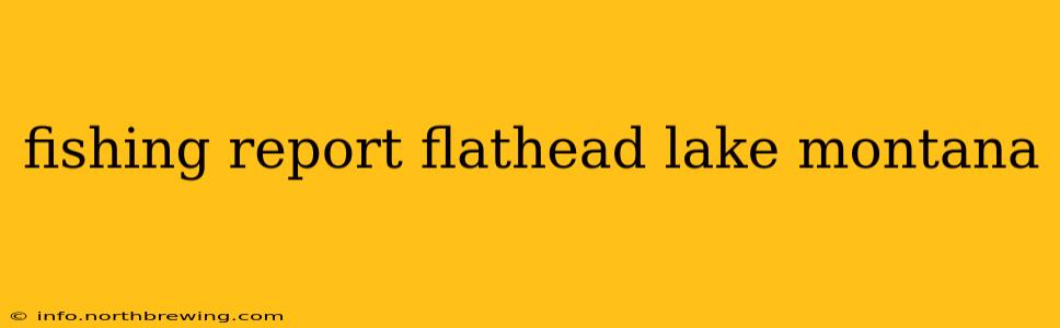 fishing report flathead lake montana
