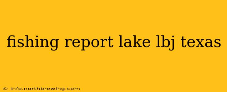 fishing report lake lbj texas