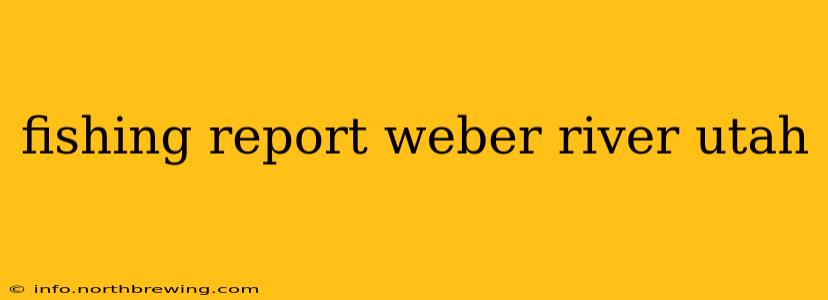fishing report weber river utah