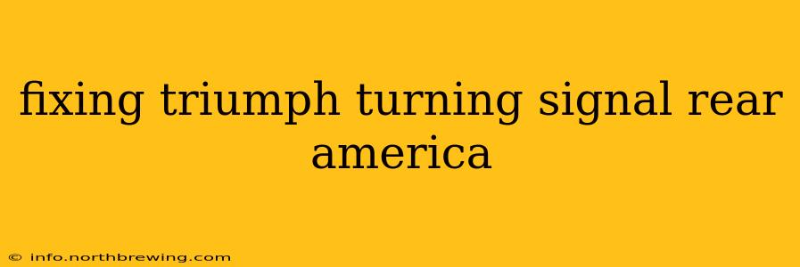 fixing triumph turning signal rear america