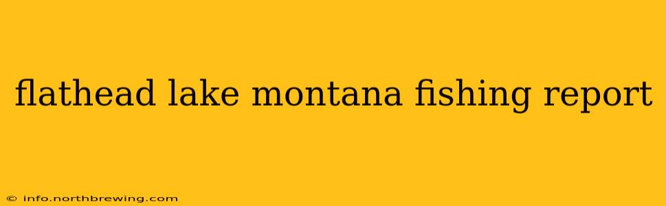 flathead lake montana fishing report
