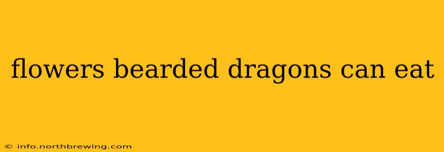 flowers bearded dragons can eat